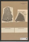 Aulacodiscus margaritaceus var. debyi (Pant.) Rattr. (de-Toni-Nr.: Genus 182, Species 4515) Zeichnungen Sammlung Grunow Nr. 8090 (NHMW-BOT-W0377423)